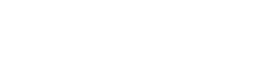 SolutionLog