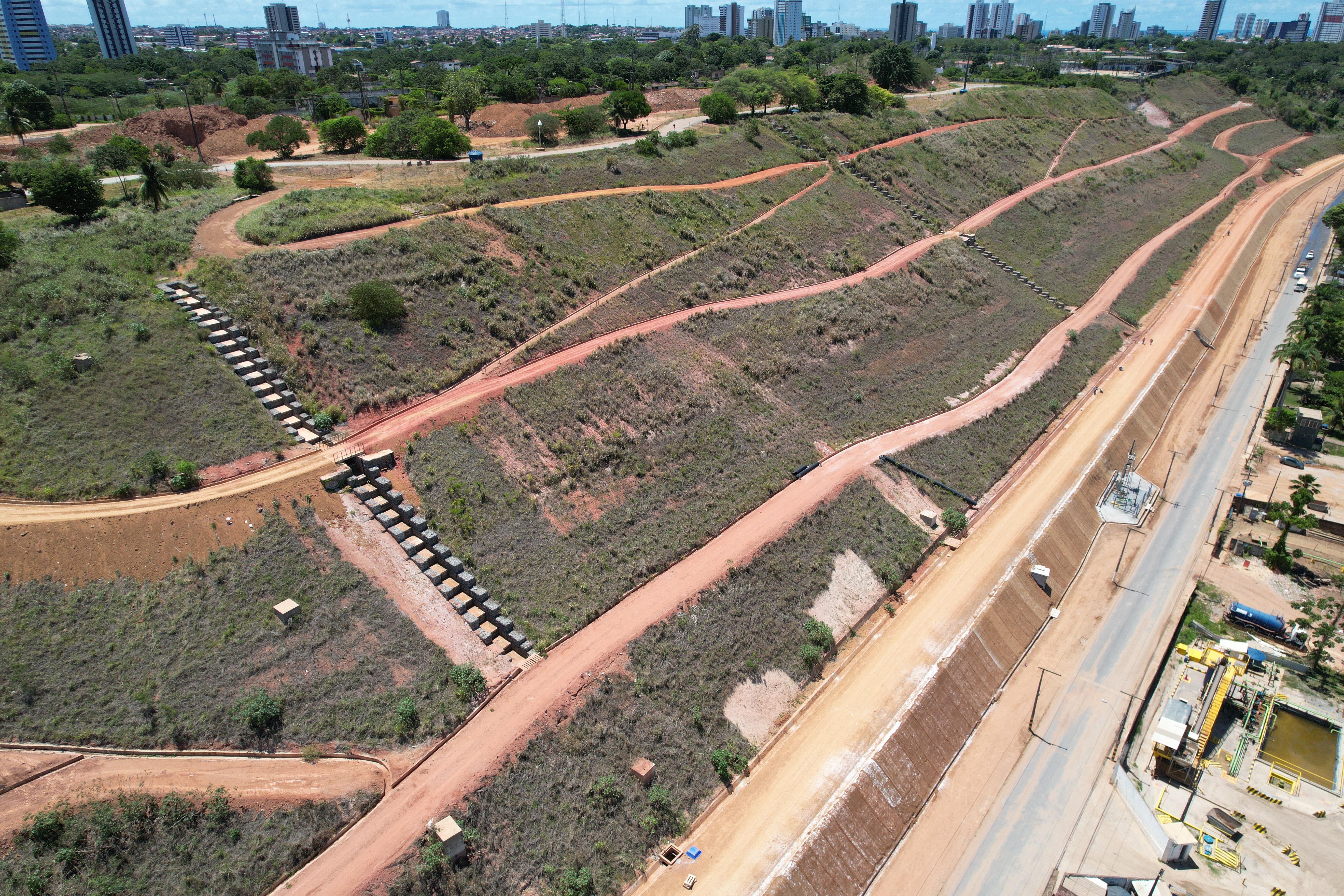 Reflorestamento Ambiental