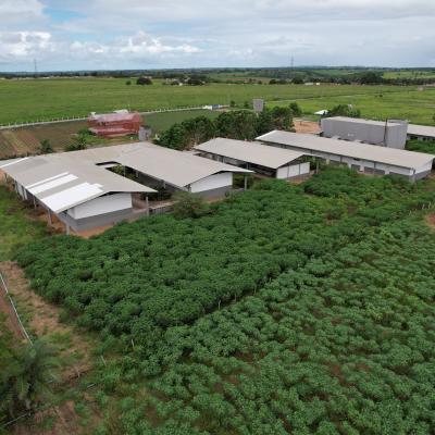 Polo Tecnológico Agroalimentar de Arapiraca