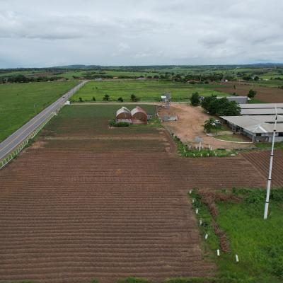 Polo Tecnológico Agroalimentar de Arapiraca