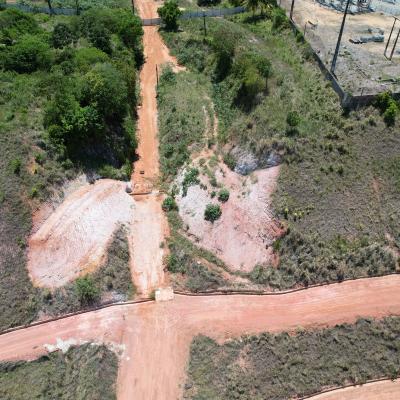 Mapeamento A&eacute;reo para Reflorestamento em Macei&oacute; 