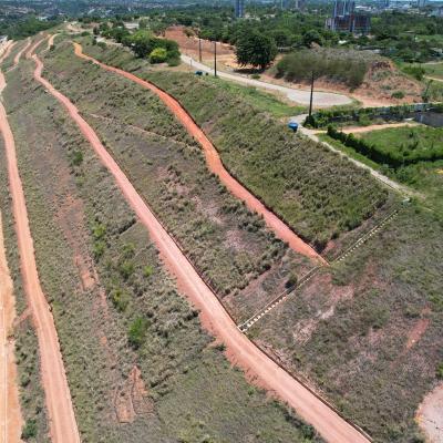 Mapeamento A&eacute;reo para Reflorestamento em Macei&oacute; 