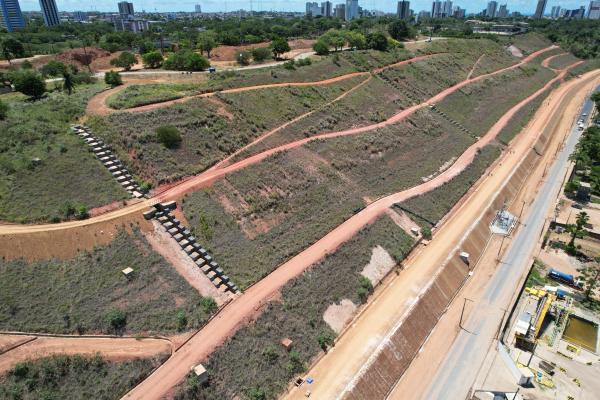 Reflorestamento Ambiental